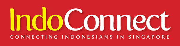 indoconnect.png